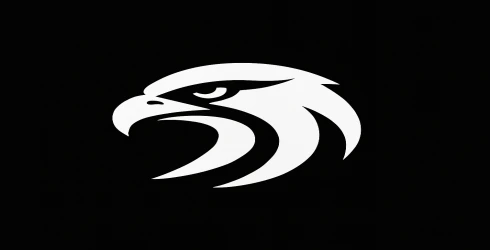 Creative Eagle Logo | Unique, Minimalist & High-Quality Brand Identity"