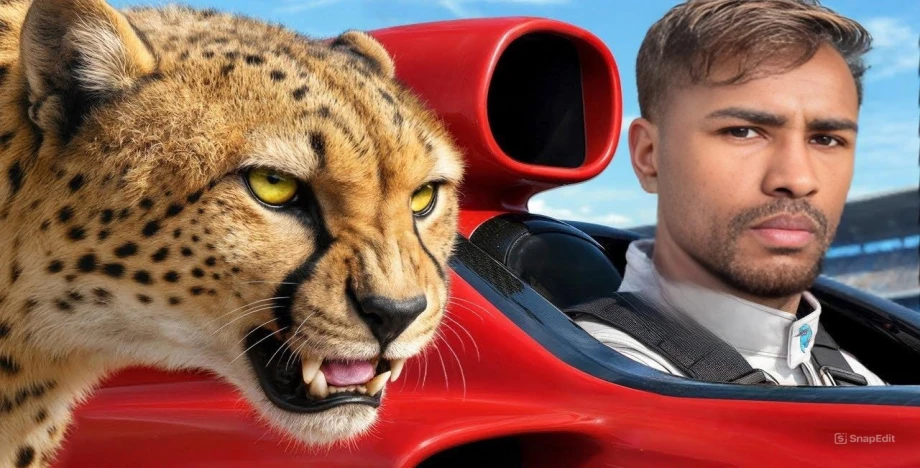 item-banner