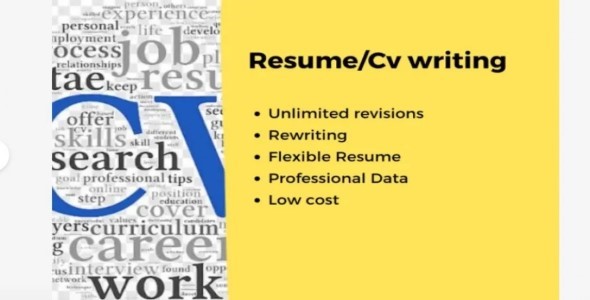 Resume/CV Writing