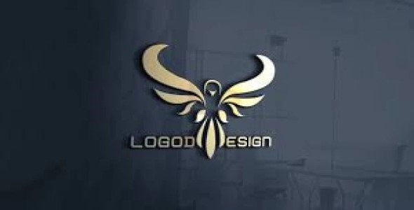 I am create any types logo design