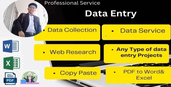 I will do your virtual assistant data entry, copy paste and web research