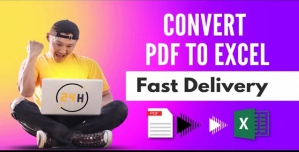 I will convert PDF to excel or word in a very short time