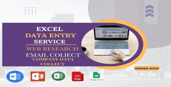 I will do professional data entry operator, email collect and web scraping work