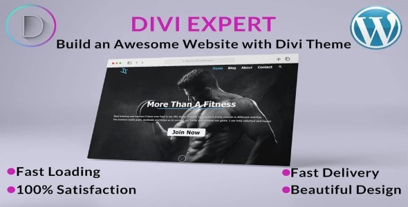 I'll build a wordpress website by divi theme or elementor pro, elementor within 8 hours.