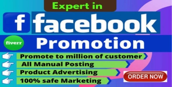 I will do facebook marketing for your business