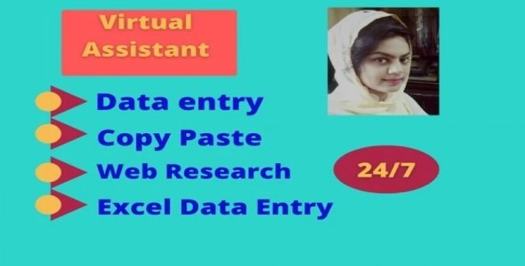 I will provide with you professionally data entry, copy paste, Web Research for any project you are working on