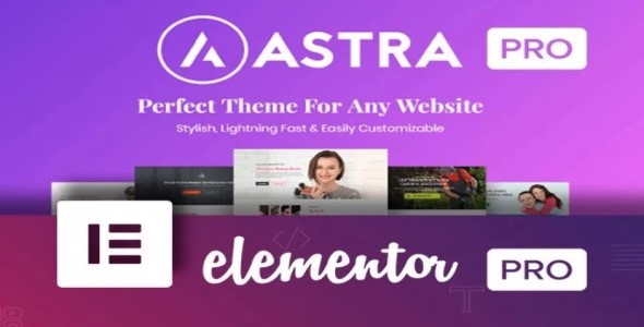 I Will Design Wordpress Website or Landing Page Using Elementor Pro & Astra Pro
