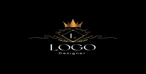 professional logo designer