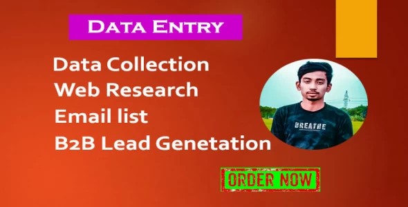 I will do Data Entry & Lead Generation, Web Research, LinkedIn leads service