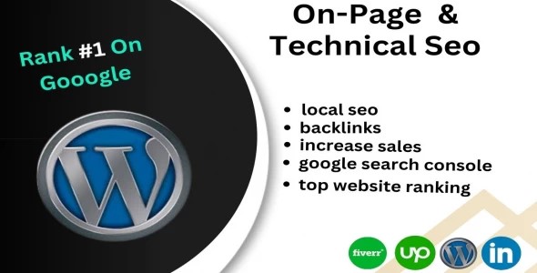 i will do on page seo optimization for wordpress