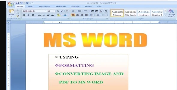 PDF TO MS WORD