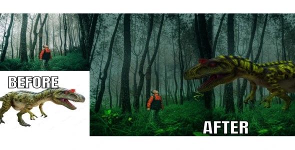 Any Photo Compositing, Photo Manipulation And Image editing services.