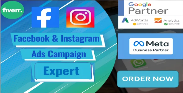 I will do facebook ads and instagram ads campaigns for your dream business