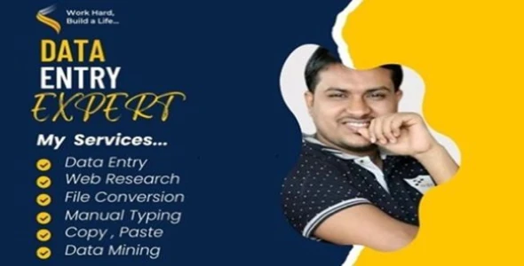 I Will Do Professional Data Entry, Web Research & Translation Jobs