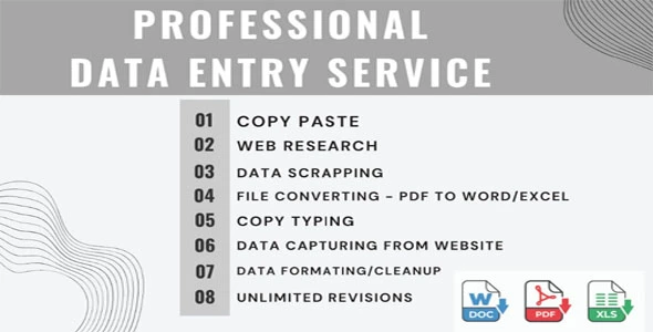 Professional Data Entry Operator