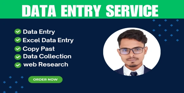 I Will do professional data entry services