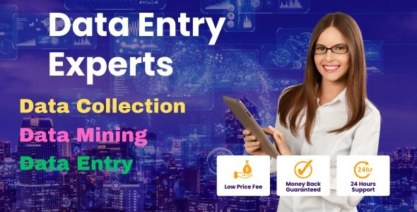 I will do Data Entry Low in price