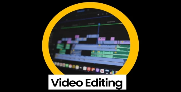 I will professional  video editor