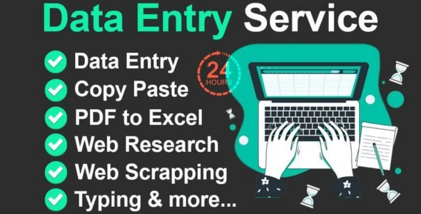 I will be your individual data entry expert