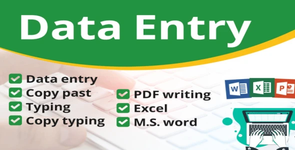 I will do Any type of data entry job