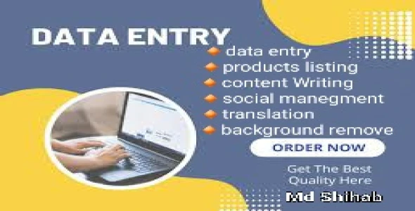 Data entry, translation,article writing,pdf to word,background remove