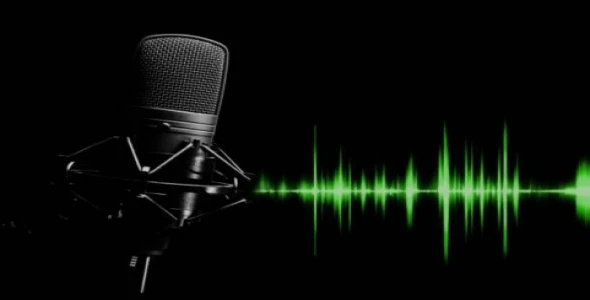 I will make the voice of male and female in all languages