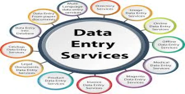 I will Give you fastest Data Entry, Copy Paste, excel data entry, web research