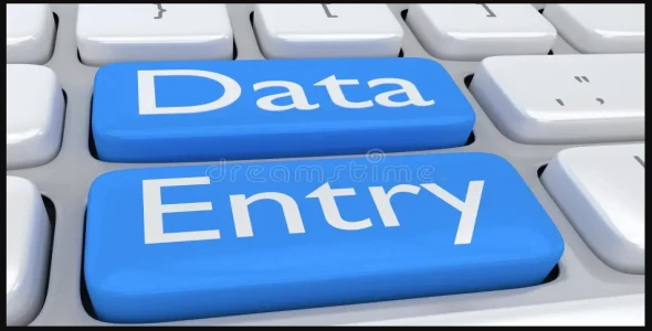 I will Give you fastest Data Entry, Copy Paste, excel data entry, web research