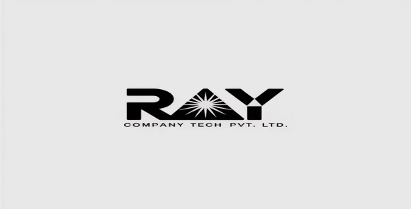 Professional Logo Design