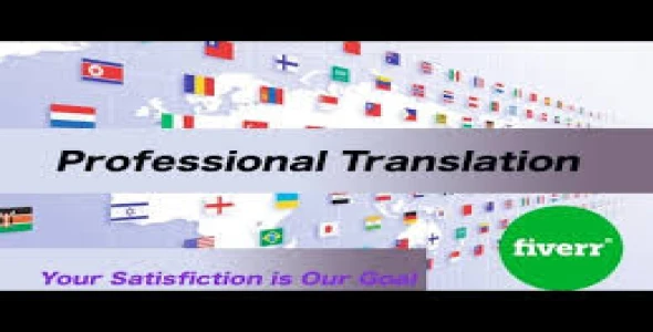 I will translate and write professionally for you