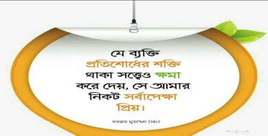 item-banner