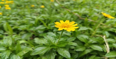 item-banner