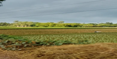 item-banner
