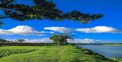 item-banner