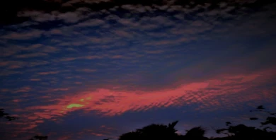 item-banner