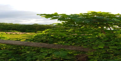 item-banner