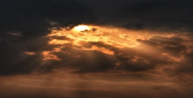item-banner