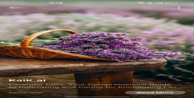 item-banner