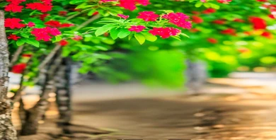 item-banner