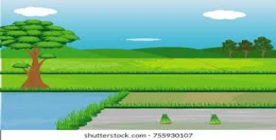 item-banner