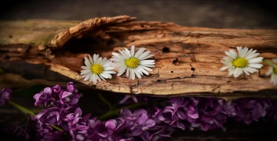 item-banner
