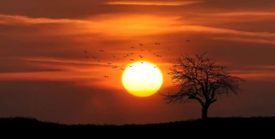 item-banner