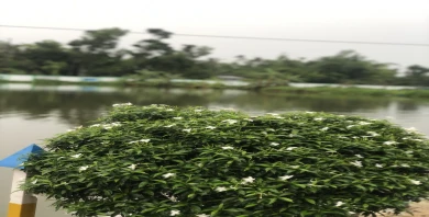 item-banner